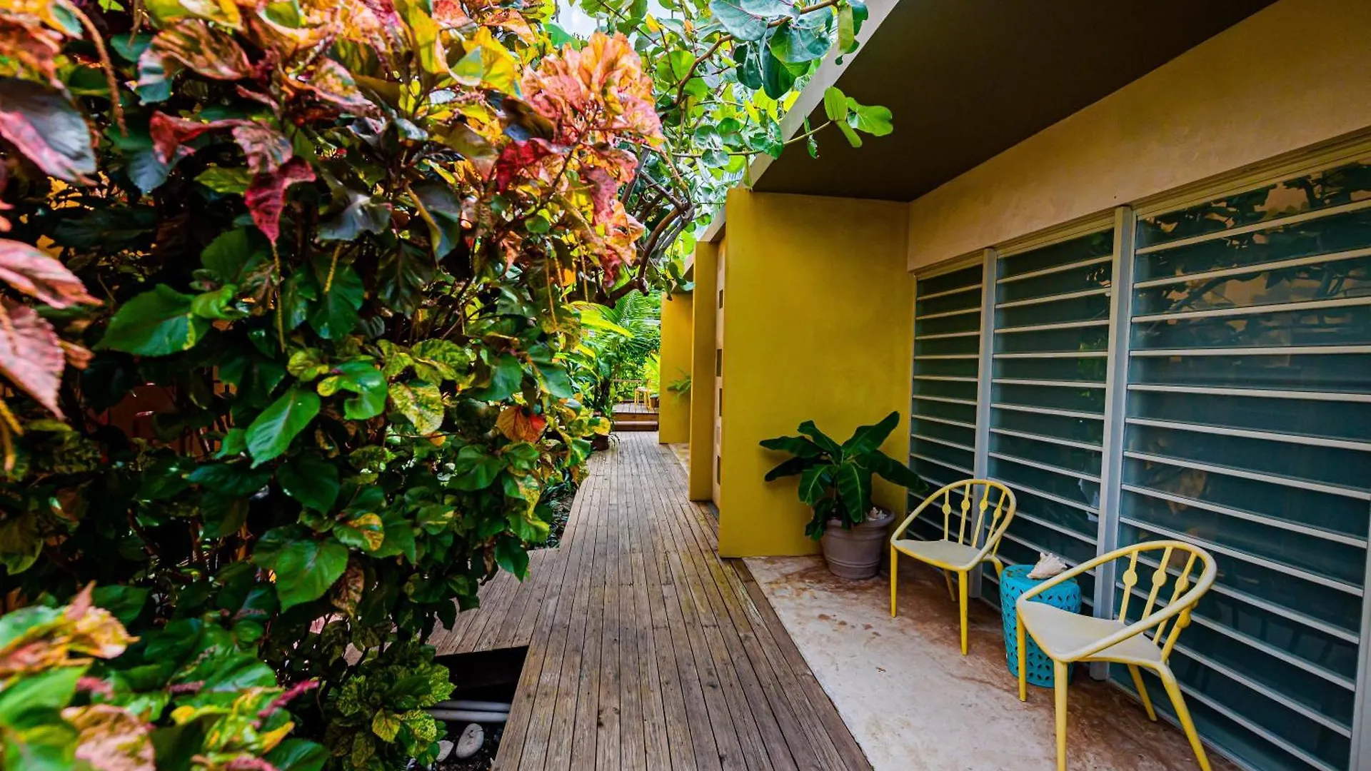 Casa De Amistad Guesthouse ビエケス